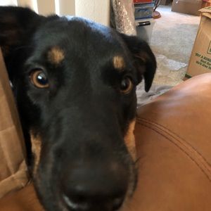 Meet your Posher, Melissa